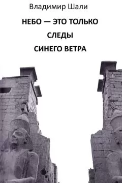 Владимир Шали - Небо – это только следы синего ветра