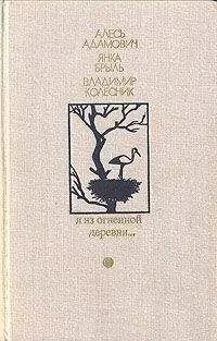 Алесь Адамович - Я из огненной деревни…