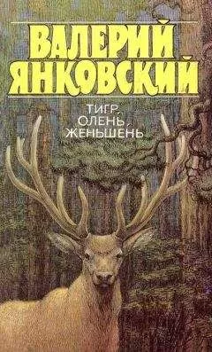 Валерий Янковский - Тигр, олень, женьшень