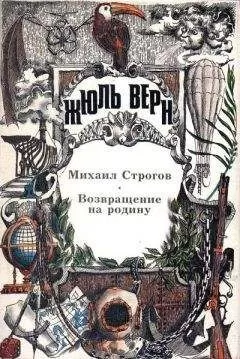 Жюль Верн - Возвращение на родину