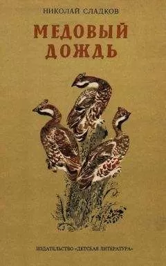 Николай Сладков - Медовый дождь