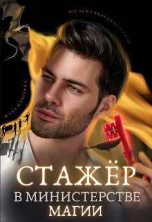 Стажёр в Министерстве Магии (СИ) - Шеверина Юлия