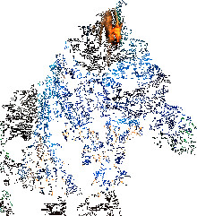 Замуж за короля? Ни за что&#33; (СИ) - Соломахина Анна "Fjolia"