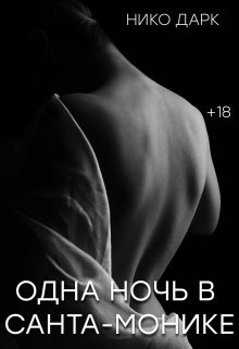 Одна ночь в Санта-Монике (СИ) - Дарк Нико