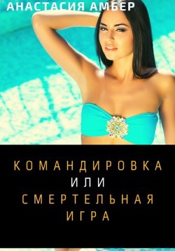 Командировка (СИ) - Амбер Анастасия
