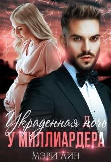 Украденная ночь у миллиардера (СИ) - Лин Мэри