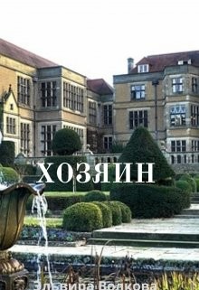 Хозяин (СИ) - Волкова Эльвира