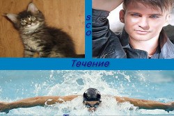 Течение (СИ) - "Sco"