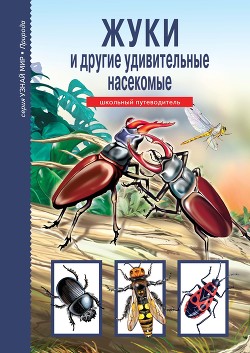 Жуки и другие удивительные насекомые - Афонькин Сергей Юрьевич