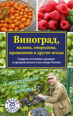 Виноград, малина, смородина, крыжовник и другие ягоды - Жвакин Виктор