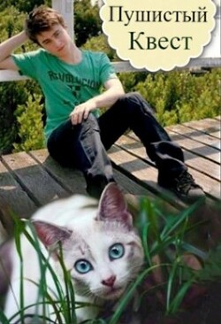 Пушистый квест (СИ) - Белозерцева Таня