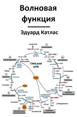 Волновая функция (СИ) - Катлас Эдуард