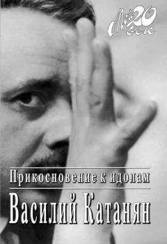 Василий Катанян - Прикосновение к идолам