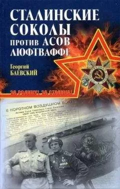 Георгий Баевский - «Сталинские соколы» против асов Люфтваффе