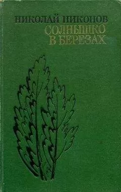 Николай Никонов - Солнышко в березах