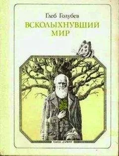Глеб Голубев - Всколыхнувший мир