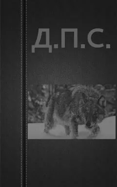 Вадим Астанин - Д.П.С.