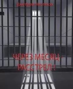 Дмитрий Чистяков - Через месяц - расстрел