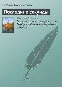 Евгений Константинов - Последние секунды