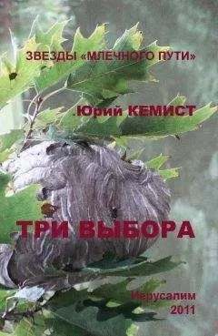 Юрий Кемист - Три выбора